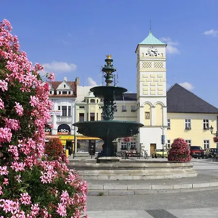 فندق Historicke Lazne Darkov 3*